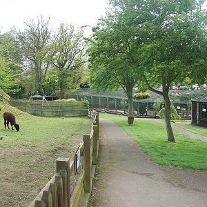 And a bit more, 4th May 2014