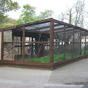 Conure Kingdom and Polytelis Paradise, 4th May 2014