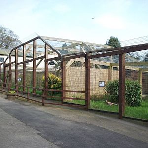 Pheasant pens and Lemur Land, 4th May 2014