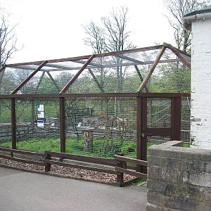 Macaw aviary, 4th May 2014