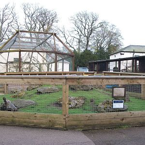 Cavy Country, 4th May 2014