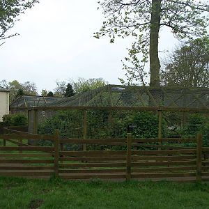 Across the pig paddock to the capuchins, 4th May 2014