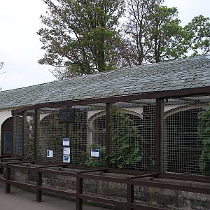 Eee, now when I were a lad.......