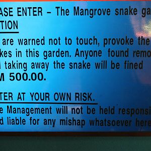 disclaimer on the walk-through mangrove snake enclosure
