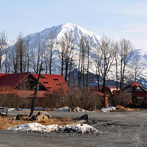 AWCC Visitor Center & Gift Shop.