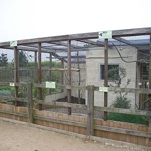 African Parrots Aviary, 1st May 2014