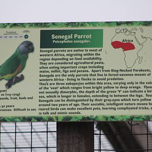 Signage, 1st May 2014