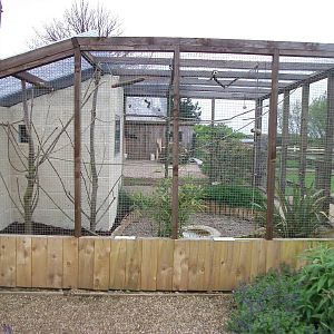 African Parrots Aviary, 1st May 2014