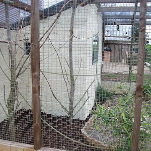 African Parrots Aviary, 1st May 2014
