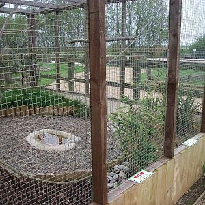 African Parrots Aviary, 1st May 2014