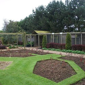 Aviaries for smaller psittacines, 1st May 2014