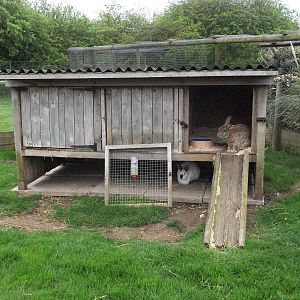 Rabbit housing, 1st May 2014