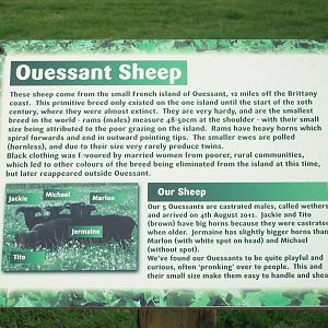 Signage, 1st May 2014