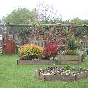 Looking towards the pheasant and duck aviaries, 1st May 2014