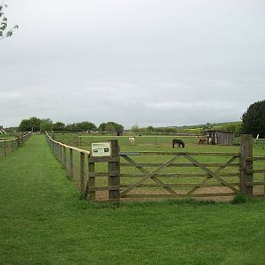 Heading for the paddocks area, 1st May 2014