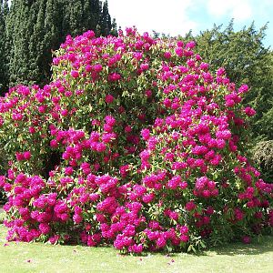 May comes around again, 9th May 2014