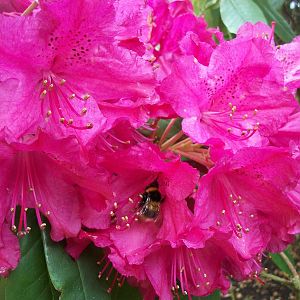 May comes around again, 9th May 2014