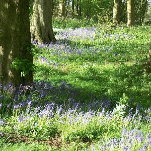 May comes around again, 9th May 2014