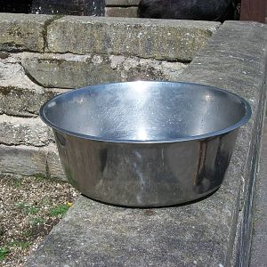 Gleaming water bowl for the Llamas, 9th May 2014