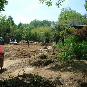 Bison Exhibit in Construction