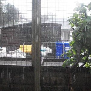 Looking through the zoo kitchen window, 10th May 2014