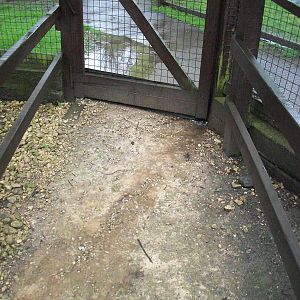 A stream through the door of the walk-through aviary, 10th May 2014