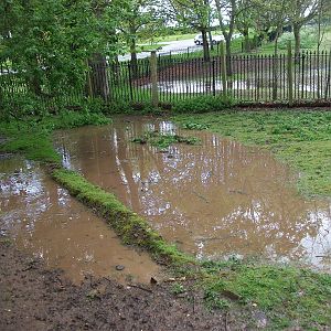 A trifle moist in the corner of the Pit Pond Paddock too, 10th May 2014