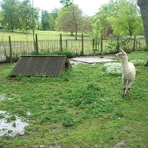 Surveying the scene, 10th May 2014