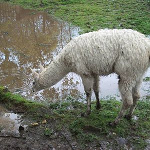 Not so sure, 10th May 2014