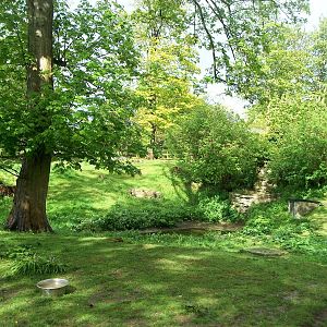 That part of the paddock looks a lot nicer, 10th May 2014