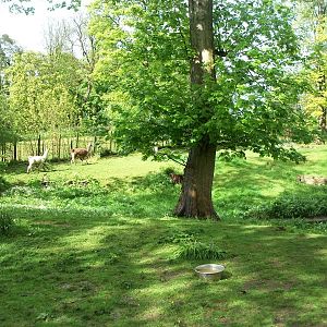 Off they go, 10th May 2014