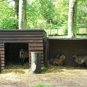 You may come out now, the sun is shining; 10th May 2014