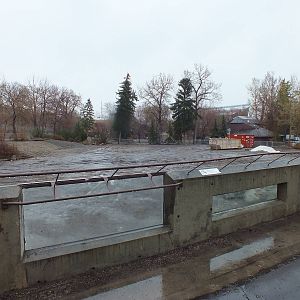 What remains of the South American complex