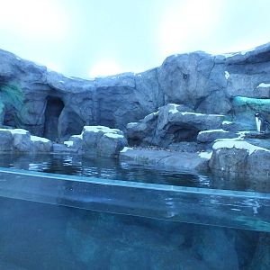 Right portion of left Penguin Exhibit