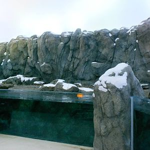 Left portion of left Penguin Exhibit