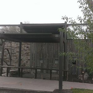 New King Vulture Exhibit