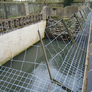 View of North American River Otter pool