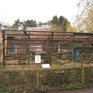 View of Chimp cage