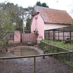 View of waterfowl pond alongside Chimp cage