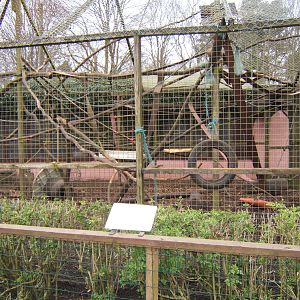 View of Capuchin enclosure