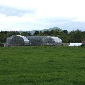 View towards walk through Bird Aviary