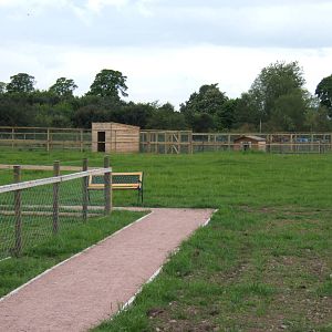 View towards Paddocks