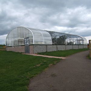 View of Walk through Bird Aviary