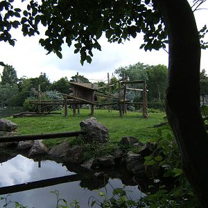 View of Monkey Island