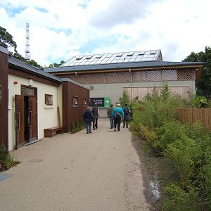 Path to Elephant House