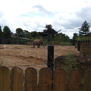 View of Elephant enclosure