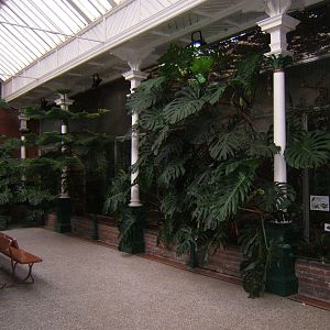 View inside Bird House