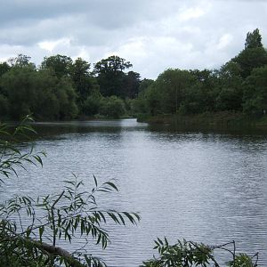 View of the Lake