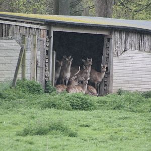 Taking shelter, 11th May 2014