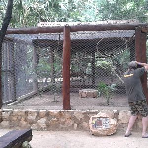 Toucan aviary